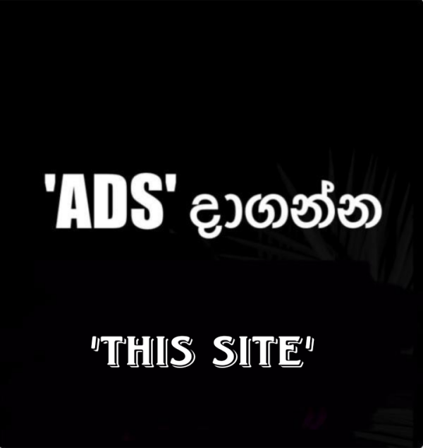 6833eddf4b8e5lpJJByz6oM1748233695.png